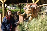 California Adventure Park