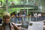 Rainforests of the World