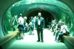 Walk-Through Aquarium