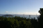 Bay Bridge View