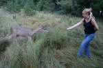 Friendly Doe