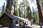 Mariposa Grove Museum