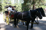 Stage Ride
