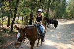 Trail Riding