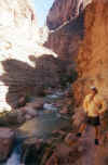 Havasu Canyon