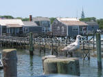 Nantucket Scene