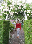 Floral Canopy