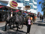 Along Navy Pier