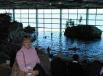 Oceanarium