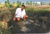 Rock carvings (Petroglyphs)