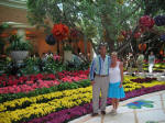 Wynn Fresh Flowers