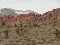 Calico Hills