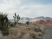 Scenic Drive