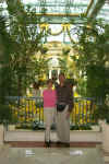 Bellagio Garden