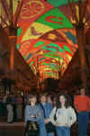 Fremont Street Experience