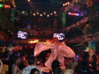 Latin Music & Dance