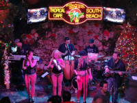 Live Music