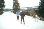Cross Country Skiing