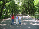 Literary Walk