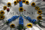 Imagine Close-Up