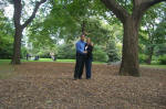 Fall in Central Park