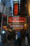 Spring Awakening
