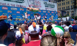 Hot Dog Fans