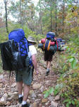 On the Ouachita Trail