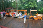 Camuy Cave Tram