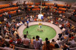 Cockfight Arena