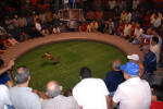 Betting on the Bouts