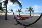 Hangin' in the Hammock