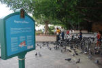 Pigeon Park