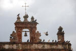 Pigeon Gate