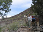 Hiking with a Llama