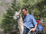 Friendly Llama