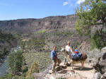 Take a Llama to Lunch!
