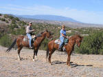 Broken Saddle Riding Company