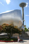 Gehry Architecture