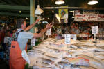 Flying Fish!