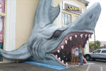Jaws