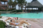 Sheraton Pool