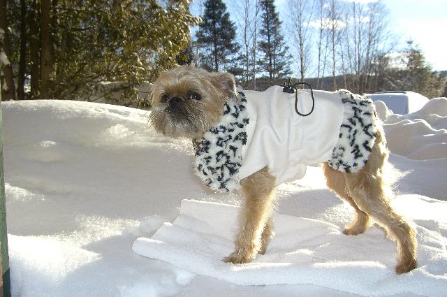 Sporting My New Coat in the Snow of Vermont, 2007
