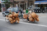 Basket Bikes