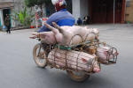 Fully Loaded
