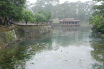 Lotus-Filled Lake