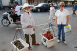 Fruit Seller
