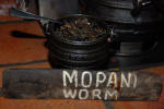 Mopani Worms